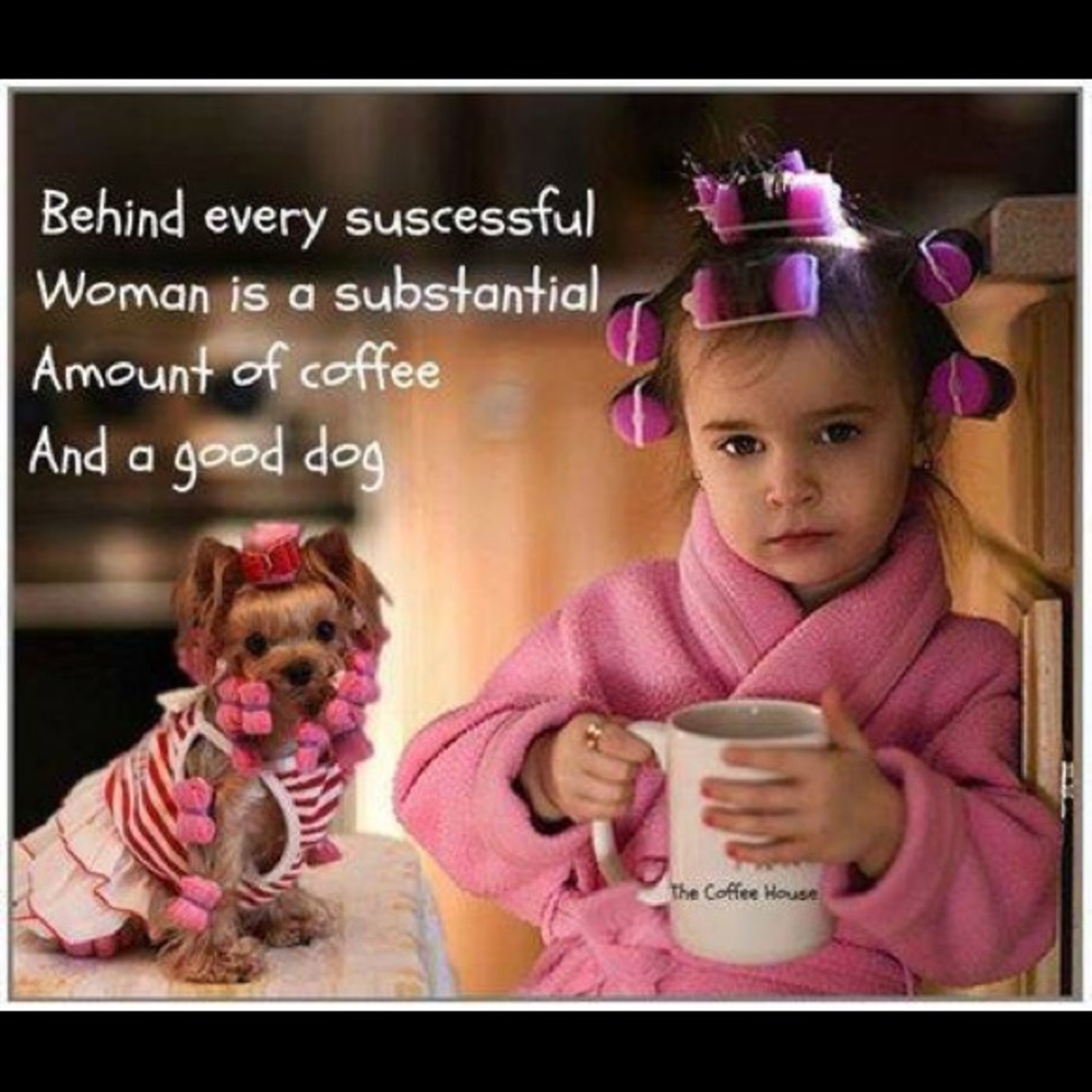 Bundle 3 dog 🐶 items for 10% off / read m… - Picture 3 of 16